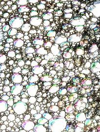 The unknown faces of the Rainbow people sur Jon Houkes