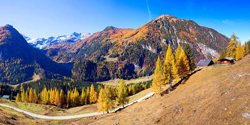 Autumn magic in Flachauwinkl by Christa Kramer