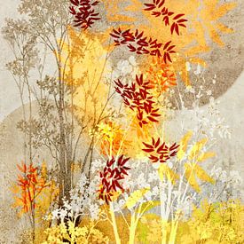 Colorfull leaves by Jack Schoneveld