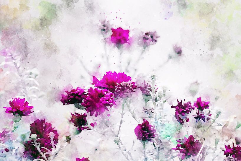 Winter flowers by Petra Dreiling-Schewe