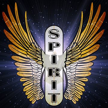 Spirit Wings: Ontwaken in de oneindigheid van de geest van ADLER & Co / Caj Kessler