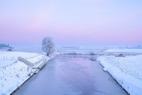 Winters landschap bij Aduarderzijl van André van der Meulen