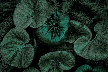 low-key luipaard plant patroon achtergrond natuur groene bladeren abstractie van Dieter Walther