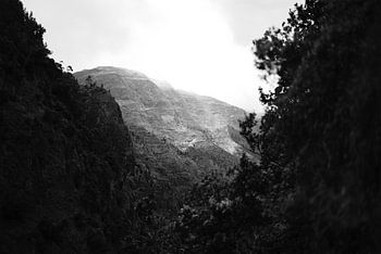 Madeira mountains black and white