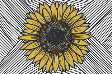 Geometric lines around sunflower by Imperial Art House