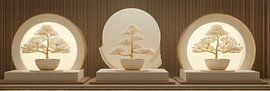 Three bonsai on round pedestals with light panorama by Digitale Schilderijen