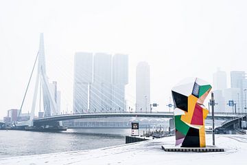 Skyline Rotterdam -  Marathonbeeld van Francisca Snel