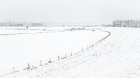 Nederlands winterlandschap van Hilda Weges thumbnail