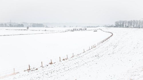 Nederlands winterlandschap