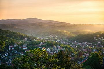 Harz Landschap Wernigerode van Oliver Henze