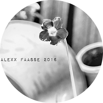 SHAMROCK FLOWERING BW (ALEXX FAASSE, 2016) van Alex Faasse