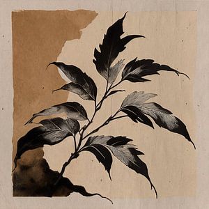 Botanischer Zweig mit schwarzen Blättern auf Vintage-Papier