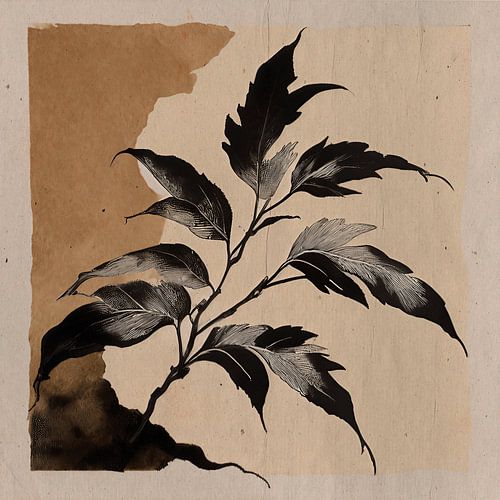 Botanischer Zweig mit schwarzen Blättern auf Vintage-Papier