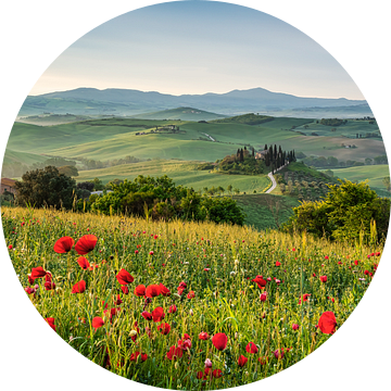 Lente in Toscane van Michael Valjak