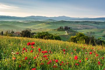 Spring in Tuscany van Michael Valjak
