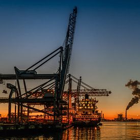 Maasvlakte sur C mansveld