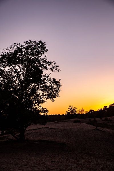 Sunset Colors 9 - Loonse en Drunense Duinen by Deborah de Meijer