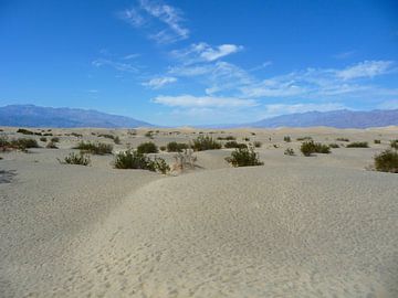 'Zandvlakte', Californië  van Martine Joanne