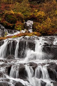 Colors of autum at the Hraunfossar waterfalls