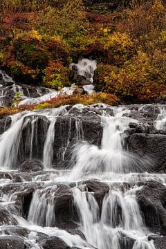 Colors of autum at the Hraunfossar waterfalls by Stephan van Krimpen