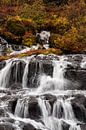 Herfstkleuren bij Hraunfossar waterval van Stephan van Krimpen thumbnail