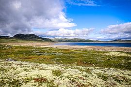 Norway: Lake Sønstevatn with Moss Landscape - Pure Natural Beauty by Be More Outdoor