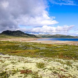 Noorwegen: Meer van Sønstevatn van Be More Outdoor