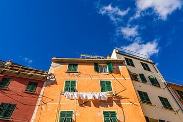 Historical buildings in Riomaggiore on the Mediterranean coast in by Rico Ködder