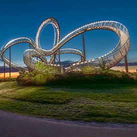 Tiger & Turtle von LICHTERKISTE