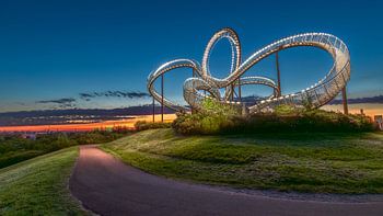 Tiger & Turtle