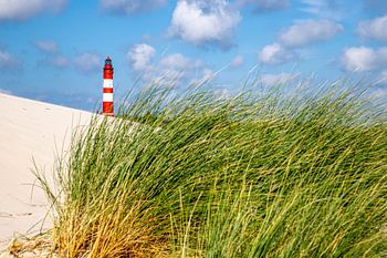 Amrumer Leuchtturm hinter Dünengras