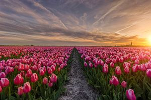 Colorful sunset sur Costas Ganasos