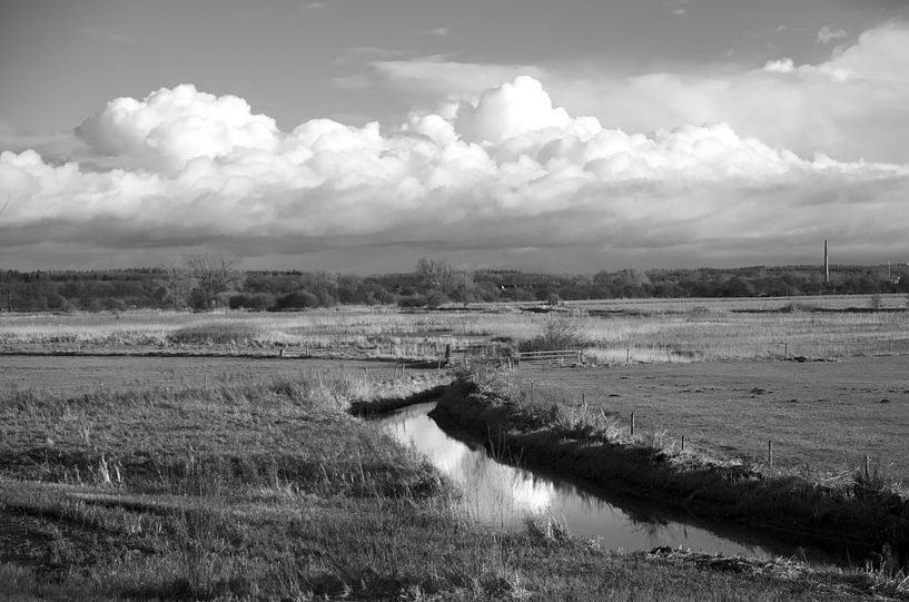 Uiterwaarden Amerongen par Gerard Streng