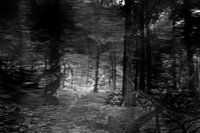 Serie verloren gevoel, beeld 2