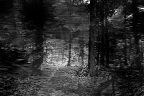 Serie verloren gevoel, beeld 2