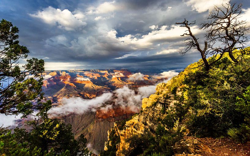 Grand Canyon by Richard Reuser