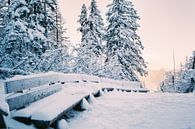 Zitbanken in Sneeuw van Patrycja Polechonska thumbnail
