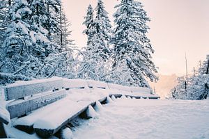 Zitbanken in Sneeuw van Patrycja Polechonska
