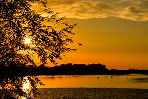 Dutch Sunset