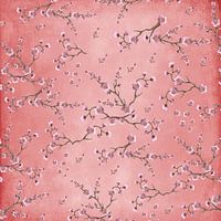 Sakura Liebe Koralle