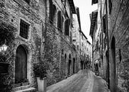 On the roads of Tuscany by Frank Andree thumbnail