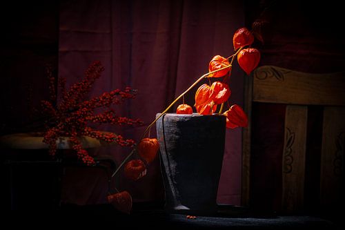 Herfstlicht
