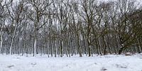 Bomen in de sneeuw van Richard Guijt Photography thumbnail