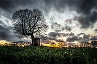 Kapelle mit Baum