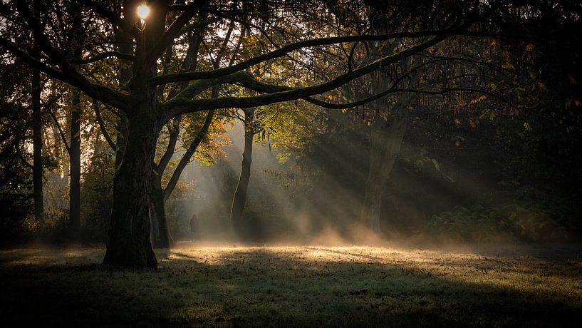 Mist & zonnestralen van Noud de Greef