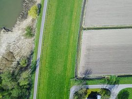 Classic Dutch fields