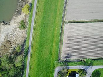 Classic Dutch fields