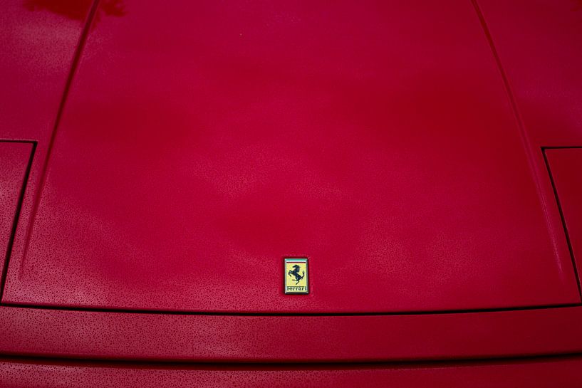 Ferrari logo van Thijs Schouten