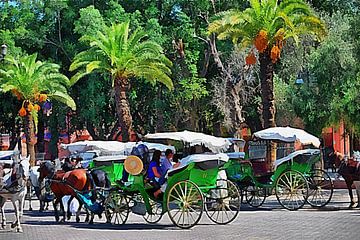 Ritten met paard en wagen Marrakech 2 van Dorothy Berry-Lound