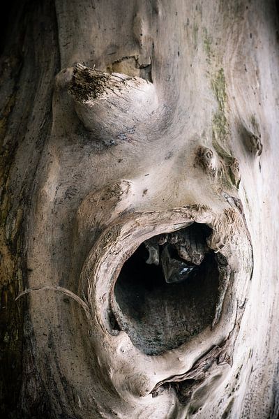 Monster face by Dieter Walther